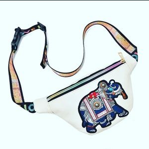 Fanny Pack/Waist Bag